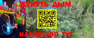 не бодяженный Владимир