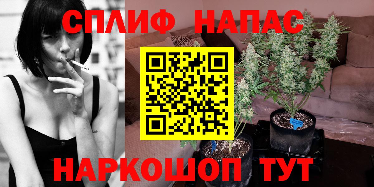 Подольск  Канабис сатива  Вход с VPN  Шишки марихуана SATIVA & INDICA 